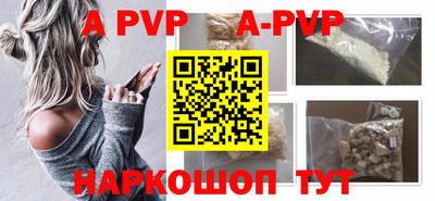 дмт Кингисепп