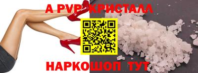 дмт Кингисепп