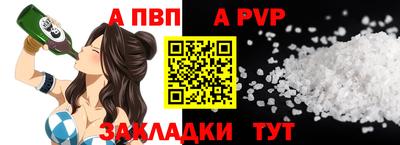 дмт Кингисепп