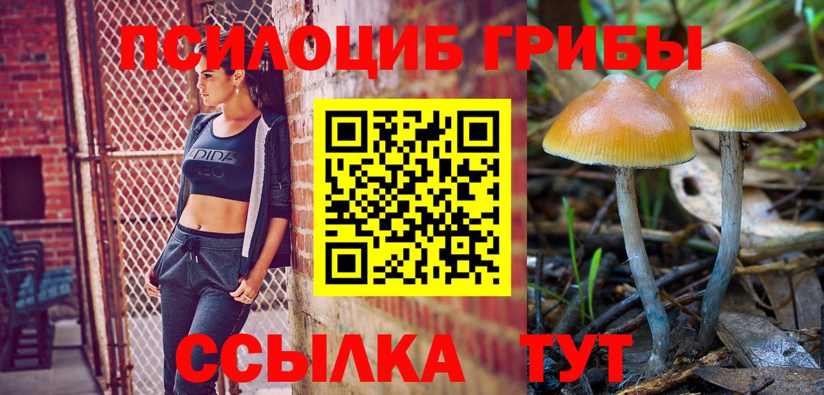 Псилоцибиновые грибы мухоморы Кисловодск