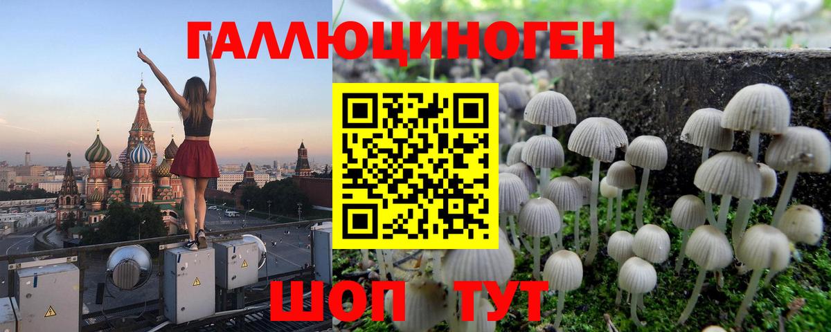 Галлюциногенные грибы Magic Shrooms  Вход с VPN  купить закладку  Кисловодск  Псилоцибиновые грибы Magic Shrooms 